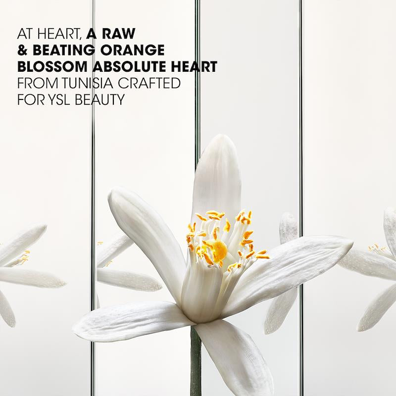 Yves Saint Laurent - Myslf